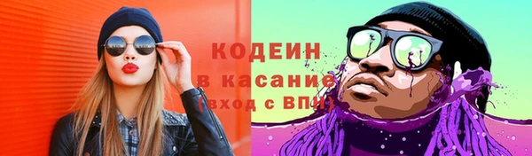 шишки Алзамай