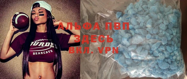 шишки Алзамай