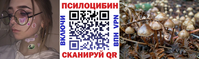 Галлюциногенные грибы GOLDEN TEACHER  Новая Ляля 
